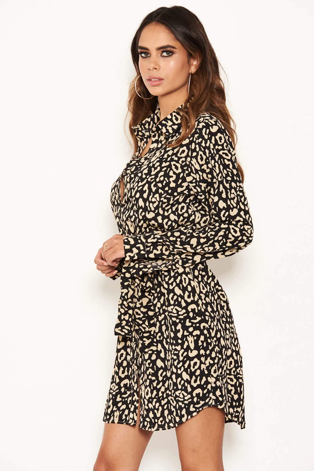 Animal Print Shirt Dress With Tie Belt